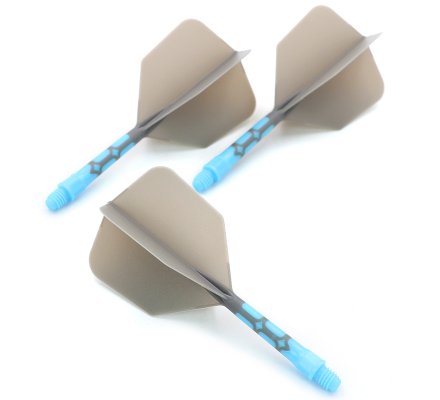 Flight/shaft Cuesoul Rost AK57 T19 Shape Grey Acqua Intermédiaire