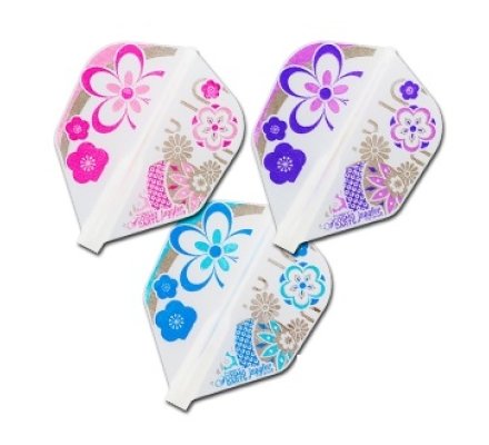 Fit flight Shape Juggler Queen × Natsumi Iwata 2 F039