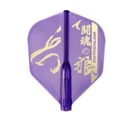 Fit flight shape air Royden Lam 422