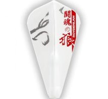 Fit flight super kite air Royden Lam  427