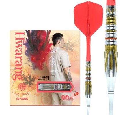 Jeu de fléchettes Caliburn Hwarang - 17.5 G