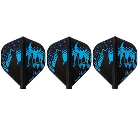 Fit flight Standard - Robin Curry 2 