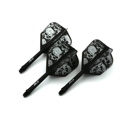 Flight/shaft Cuesoul Rost AK5 Shape Skeleton B Courte