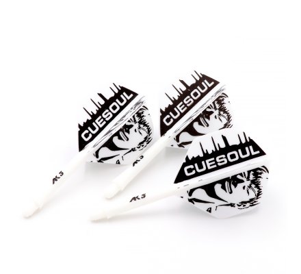 Flight/shaft Cuesoul Rost AK5 Standard Blanche Boy