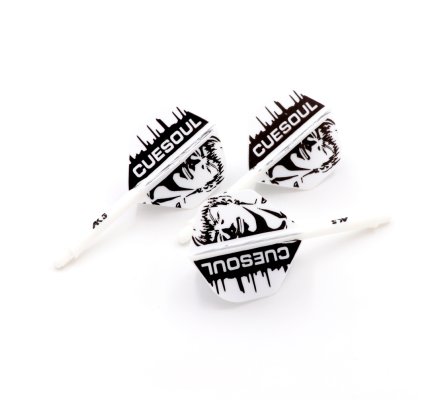 Flight/shaft Cuesoul Rost AK5 Standard Blanche Boy