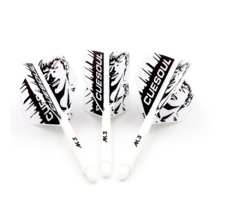 Flight/shaft Cuesoul Rost AK5 Standard Blanche Boy