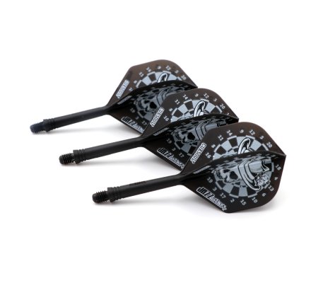 Flight/shaft Cuesoul Rost Jazz-Metal Black/Silver