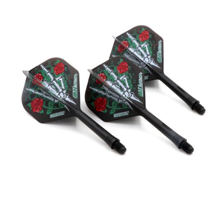 Flight/shaft Cuesoul Rost Jazz-Metal Black/Rose
