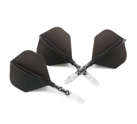 Flight/shaft Cuesoul Rost AK57 T19 Standard Black Clear Intermédiaire 