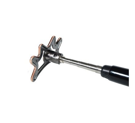 Araignée Téléscopique